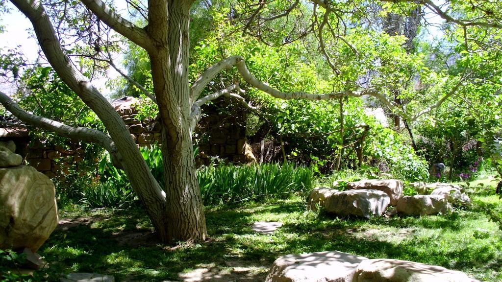 ホテルLa Casa Del Indio ティルカラ エクステリア 写真